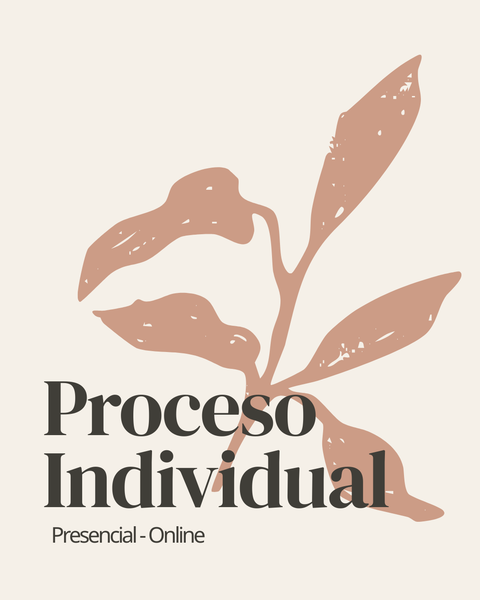Proceso 1:1 