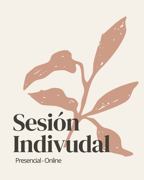Sesiones 1:1