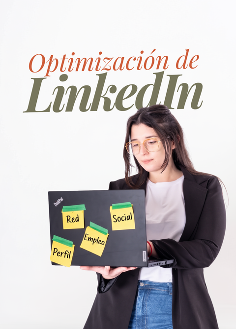 Diseño y Optimización de LinkedIn