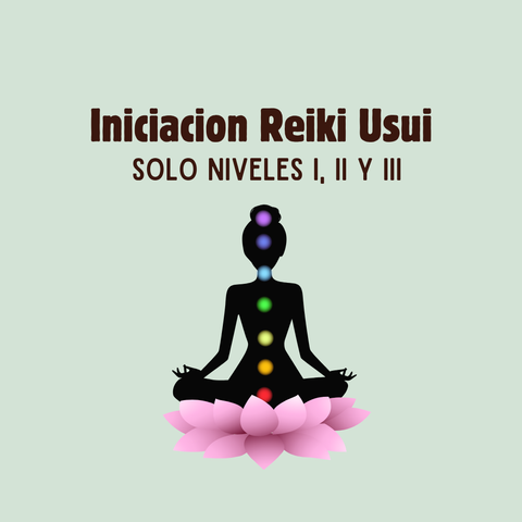 Reiki Usui en vivo niveles I, II y III