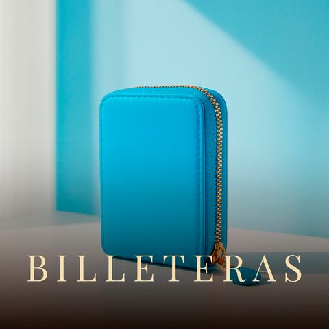 BILLETERAS NUEVE DISEÑOS